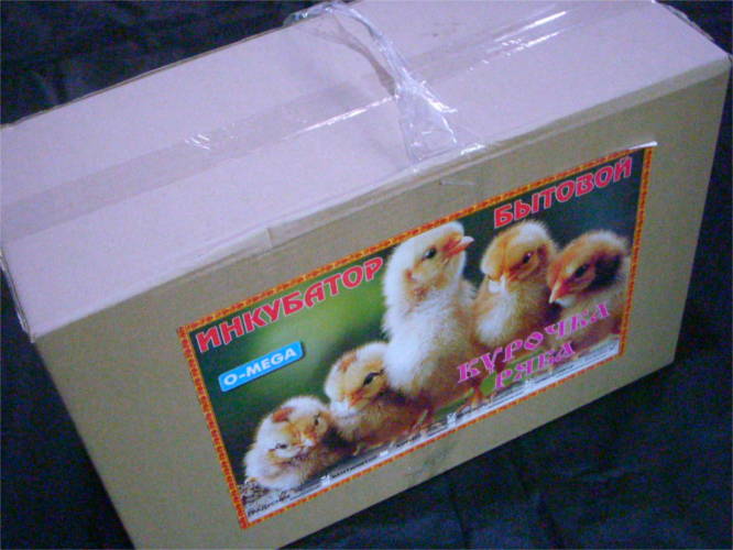 Курочка Ряба 100 ручной