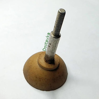 Сибирь грибок