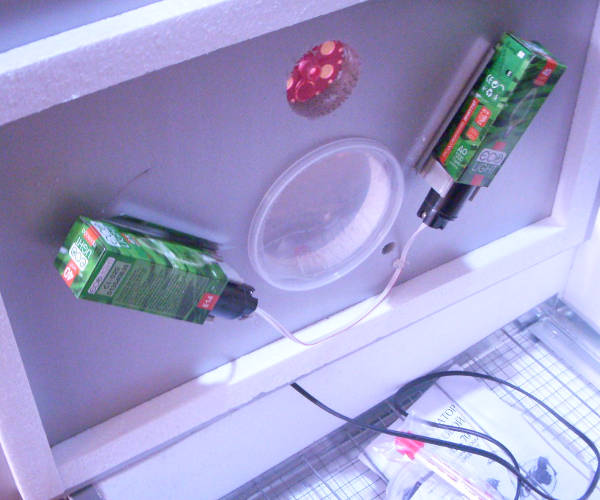 Наседка 70 механический пластиковый