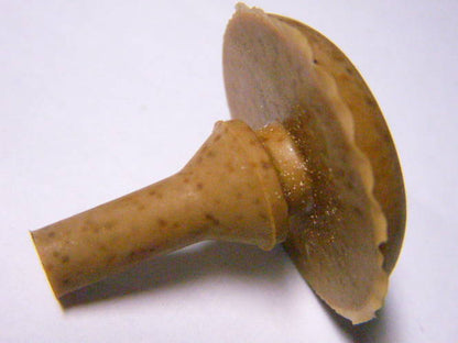 Водолей оригинальный