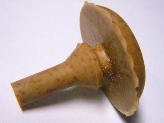 Водолей оригинальный