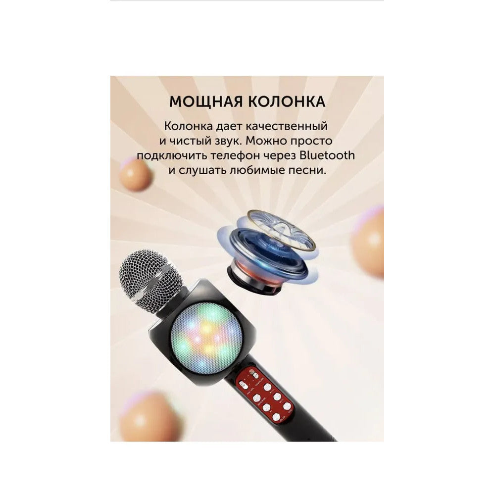 Bluetooth Karaoke Microphone - WS-1816