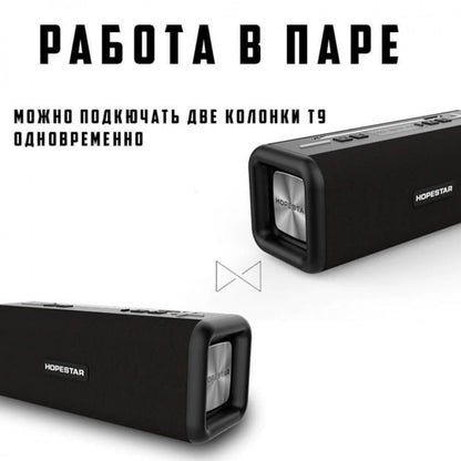 Portable speaker – Hopestar T9