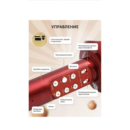 Bluetooth Karaoke Microphone - WS-1816