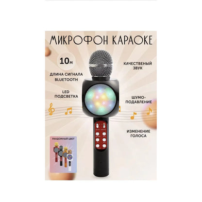 Bluetooth Karaoke Microphone - WS-1816