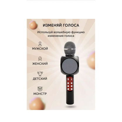 Bluetooth Karaoke Microphone - WS-1816