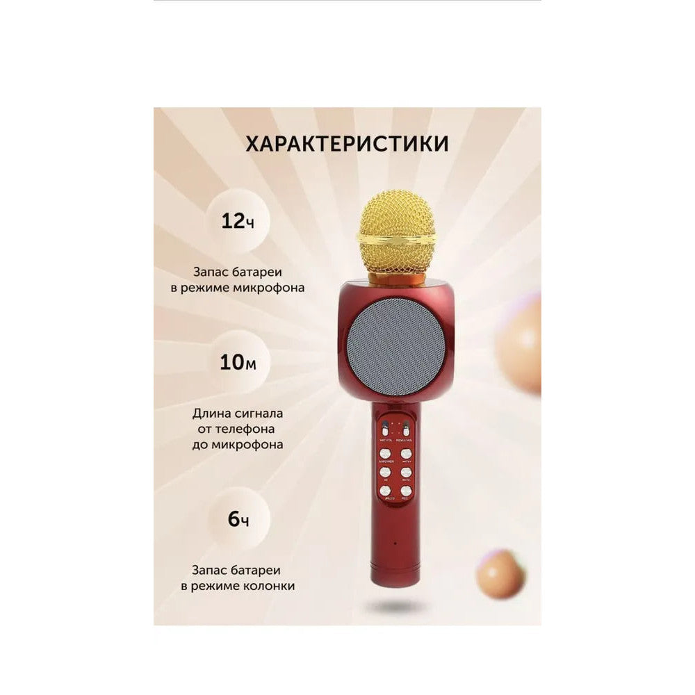 Bluetooth Karaoke Microphone - WS-1816