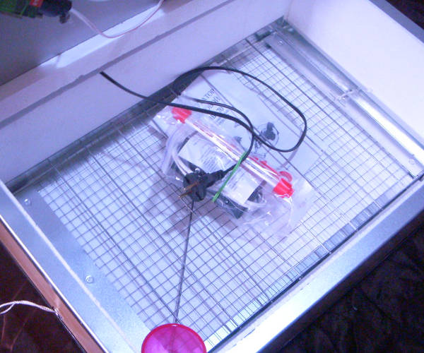 Наседка 70 механический пластиковый