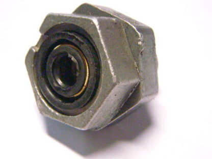 Чайка, Аурика