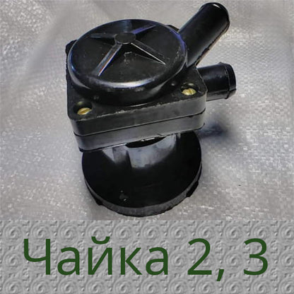 Чайка