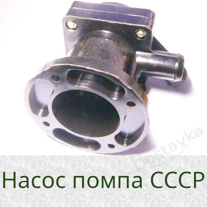 Чайка