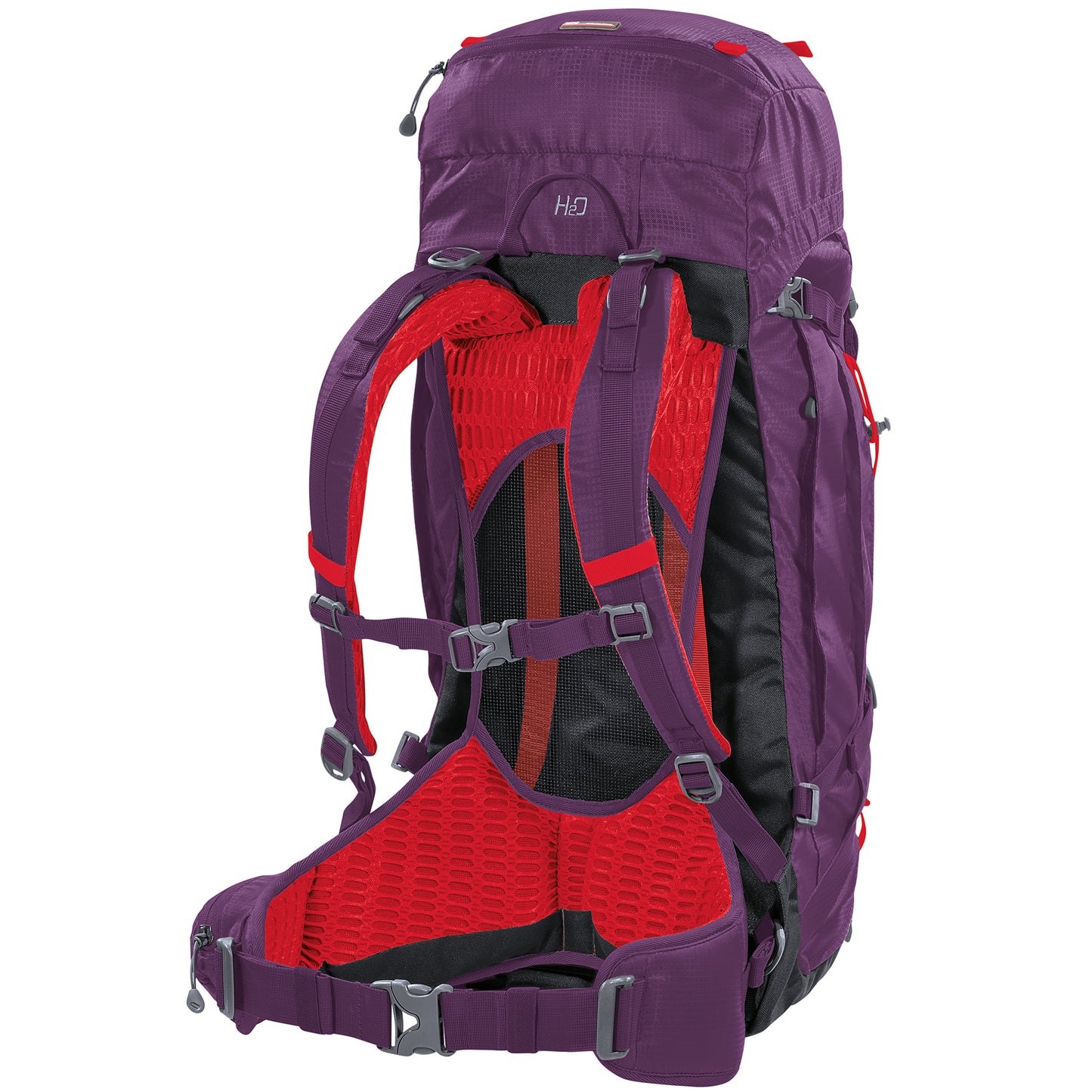 Ferrino Finisterre 40 Lady Purple Travel Backpack (75575IPP)