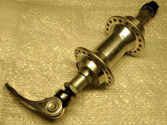 задняя Спорт эксцентрик