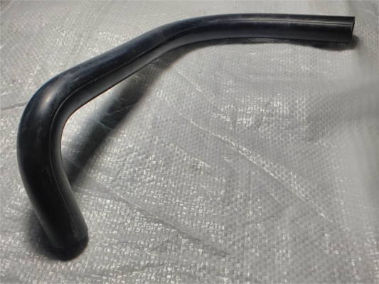 Чайка, Сибирь