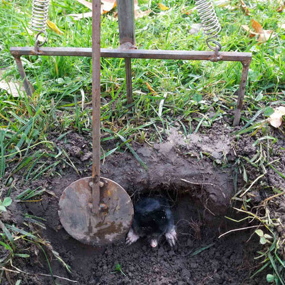 кротобойка